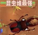 昆虫谁最强