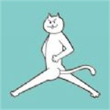 围住神经猫