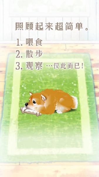 养育柴犬的治愈手游
