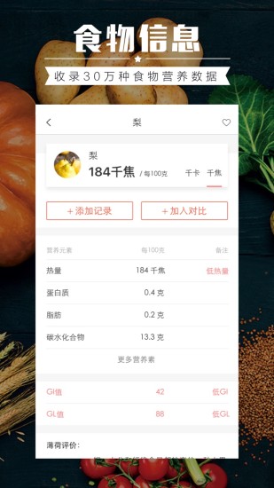 食物派
