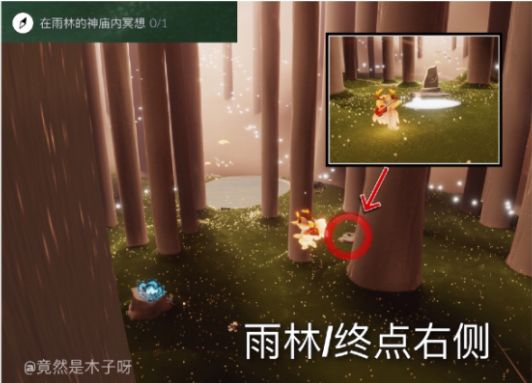 光遇8月19日任务怎么做？8.19每日任务完成攻略[多图]图片1