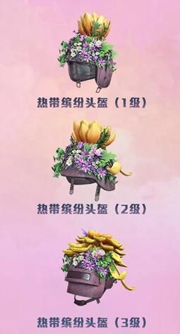 和平精英热带缤纷头盔怎么样 和平精英热带缤纷头盔获得方式[多图]图片2