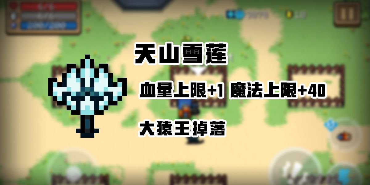 元气骑士暑期版本有什么内容？暑期内容介绍[多图]图片7