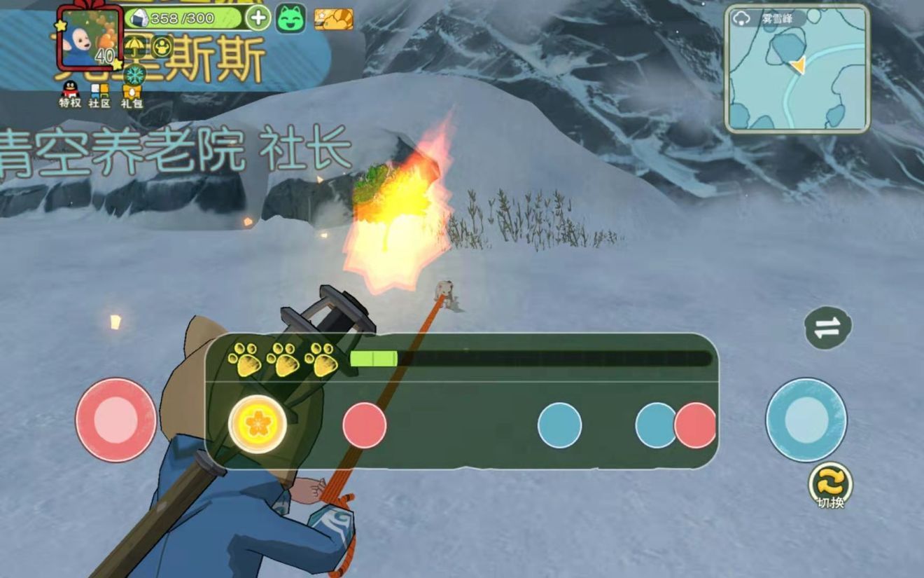 小森生活火狐王在哪里抓？火狐王刷新位置介绍[多图]图片2