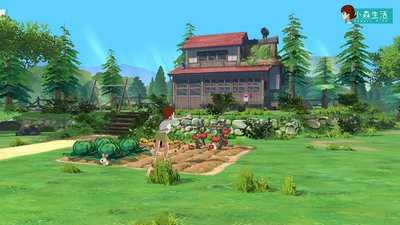 小森生活神龛怎么摆放？神龛摆放任务完成攻略[多图]图片2