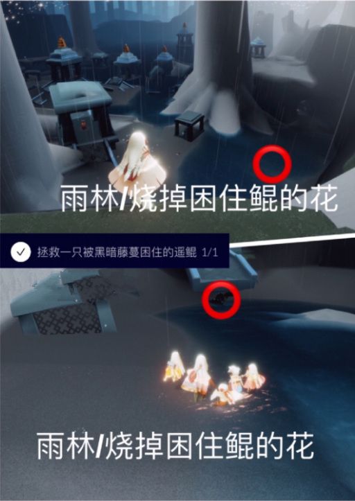 光遇5.21任务怎么做？5月21日每日任务位置与完成方法介绍[多图]图片2