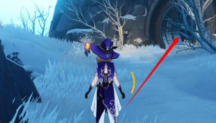 原神龙脊雪山三个匣子密室在哪里 雪山三个匣子密室位置介绍[多图]图片11