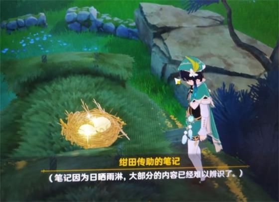 原神绀田事话怎么做？绀田事话任务攻略大全[多图]图片6