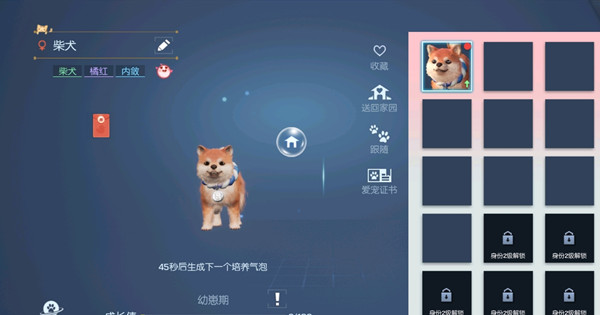 龙族幻想育宠达人怎么玩 育宠达人身份玩法攻略介绍[多图]图片2