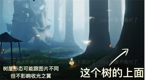 光遇集结季小金人位置在哪？集结季小金人全坐标大全[多图]图片3