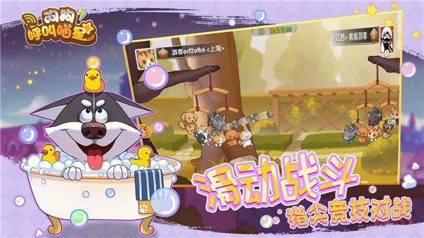 狗狗呼叫喵星测试服