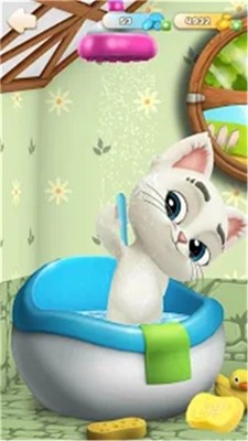 会说话的猫