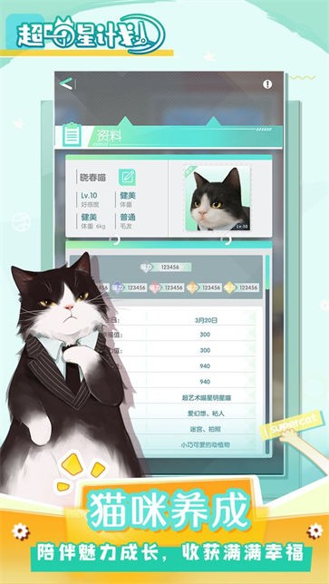 喵星联盟