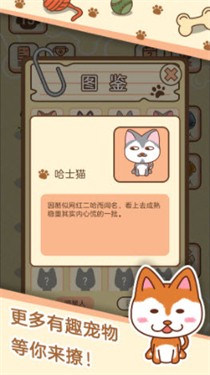 宠物养成记