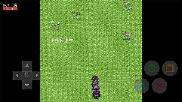 辰的奇妙冒险