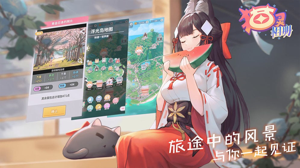 猫灵相册正式版