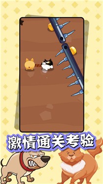 猫狗大乱斗