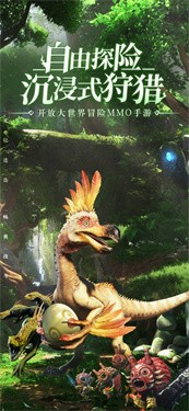 迷雾之森