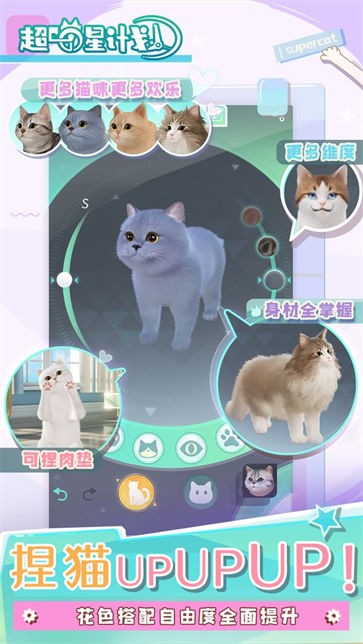 喵星联盟