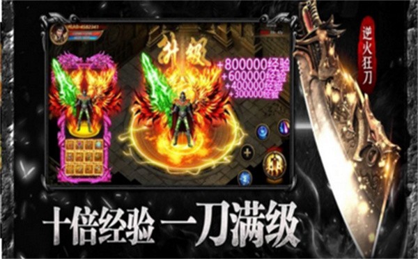薇龙传奇