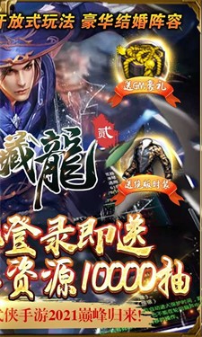 卧虎藏龙贰