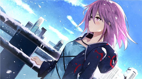 鸢之歌测试服