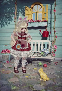 projectdoll寻心测试