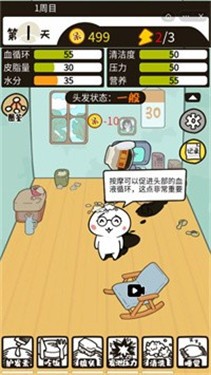 阿呆养发记
