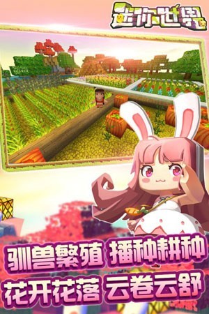 迷你世界五周年