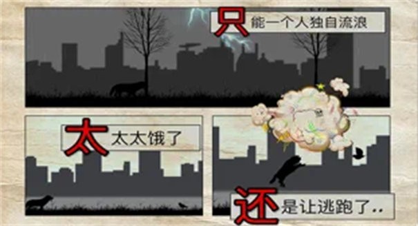 流浪狗的故事