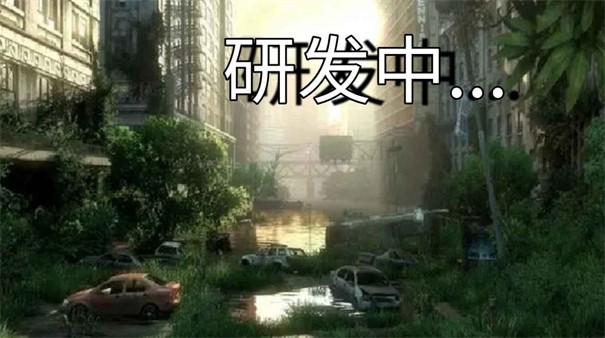 代号十五区