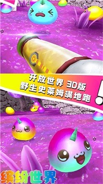 缤纷世界