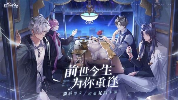 猫之宿约者小米版