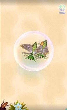 召唤神凤无敌版