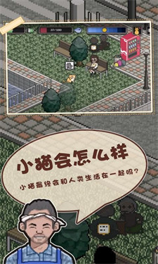 邦戈猫手机版