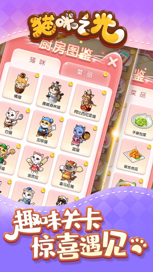 猫咪之光
