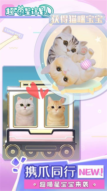 喵星联盟