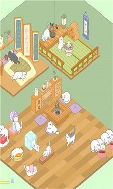 猫咪真可爱