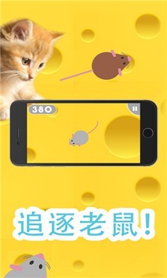 一起来养猫