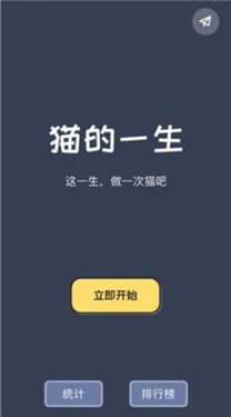 猫咪的一生