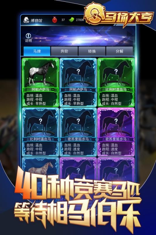 马场大亨