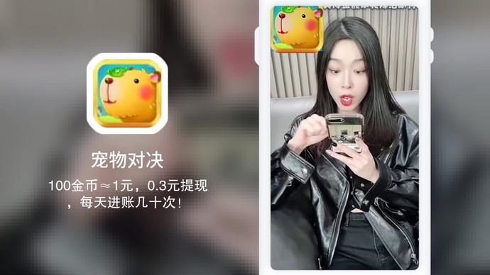 宠物对决
