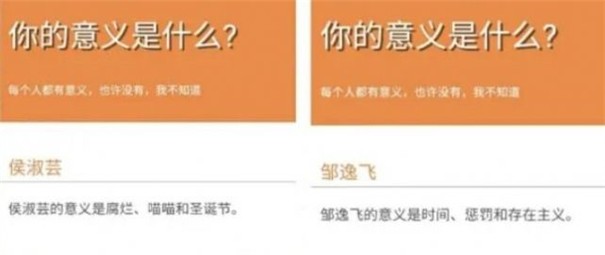 你的意义是什么测试