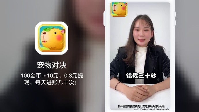 宠物对决