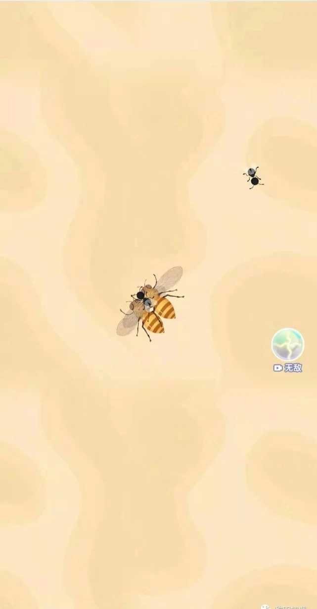 召唤神凤网页版