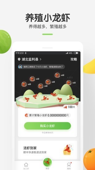 虾弄弄