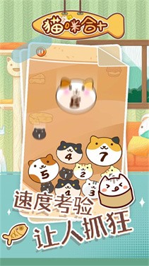 猫咪合十