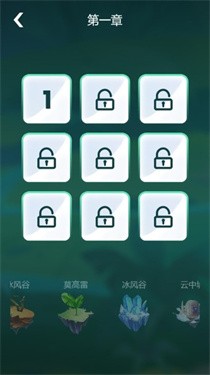 雨林忍者