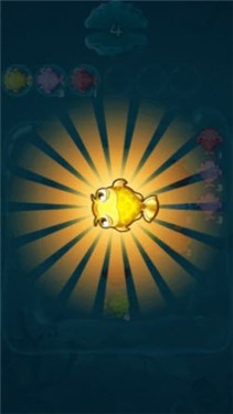 合成金龙鱼