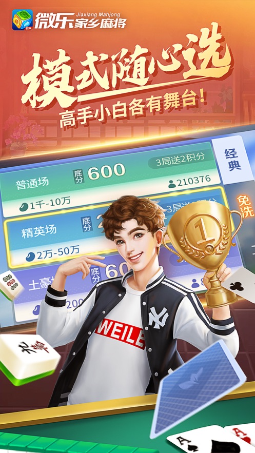 微乐家乡麻将二人麻将